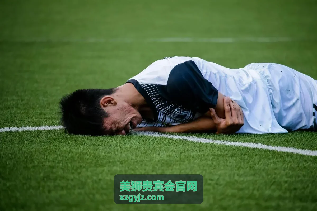 美狮贵宾会品牌标识